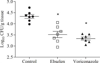 Efficacy of Ebselen Against Invasive Aspergillosis in a Murine Model